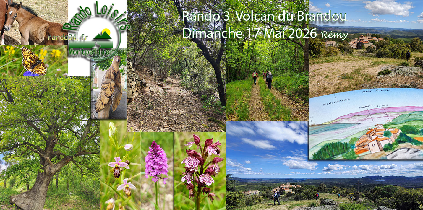 brandou